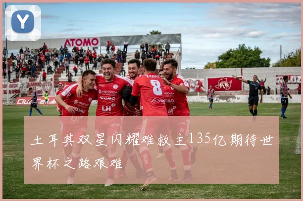 土耳其双星闪耀难救主135亿期待世界杯之路艰难