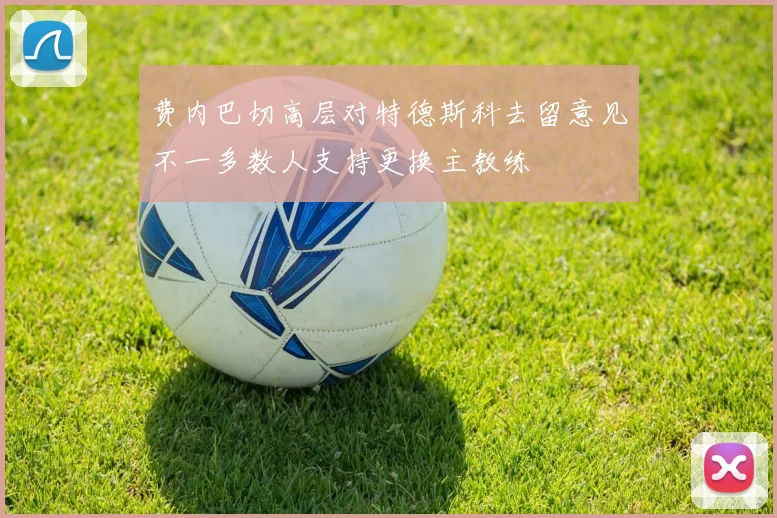 费内巴切高层对特德斯科去留意见不一多数人支持更换主教练
