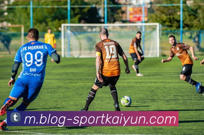 开云体育APP 封面图